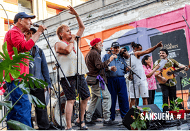 acciones_sansuena1