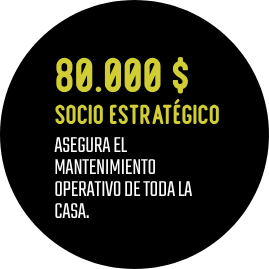 Socio estrategico
